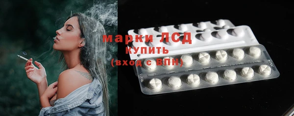 прущий лед Алзамай