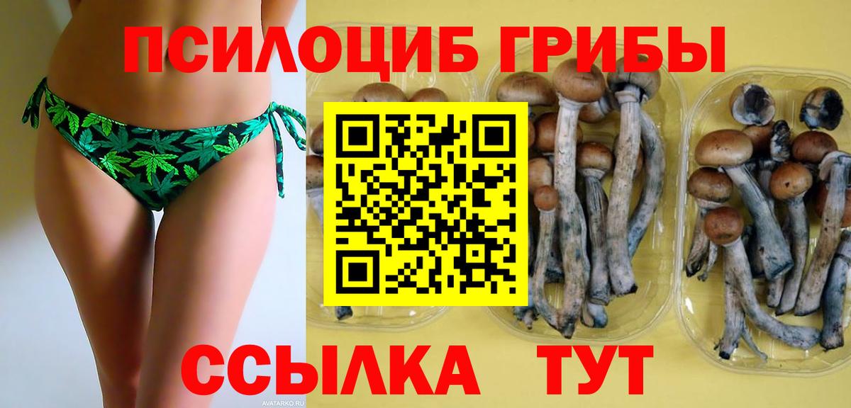 Галлюциногенные грибы Cubensis  Вход с VPN  Междуреченск 