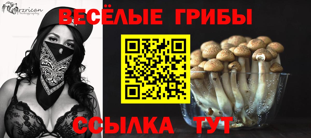 Междуреченск  Лсд 25  Канабис  Вход с VPN  ГАШИШ  COCAIN  Меф  